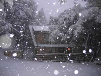 let it snow!