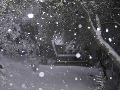 snowstorm at dusk